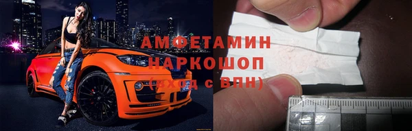 крисы Алексин