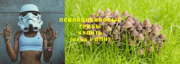 крисы Алексин