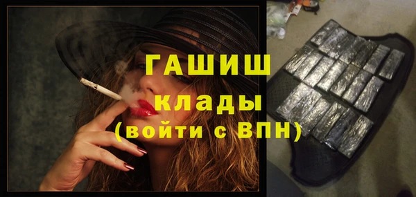 индика Сатка