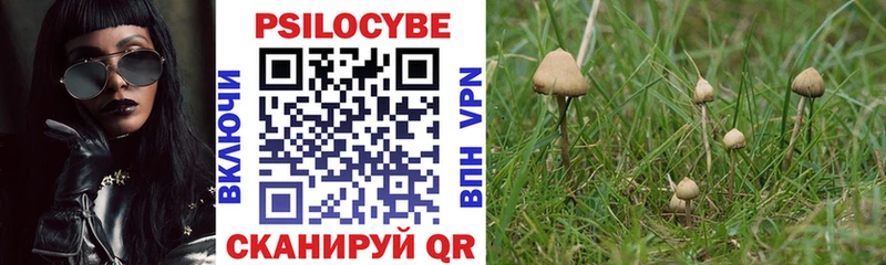 Галлюциногенные грибы MAGIC MUSHROOMS хочу наркоту Апатиты
