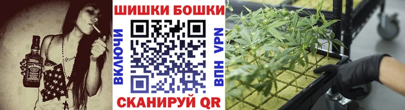 цены наркотик  Апатиты  Бошки марихуана планчик 